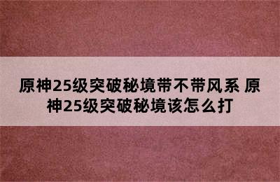 原神25级突破秘境带不带风系 原神25级突破秘境该怎么打